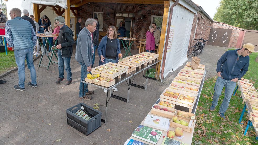 104 Apfelsorten waren im Altkreis Norden eingesammelt worden und wurden in Upgant-Schott vorgestellt. Foto: Folkert Bents