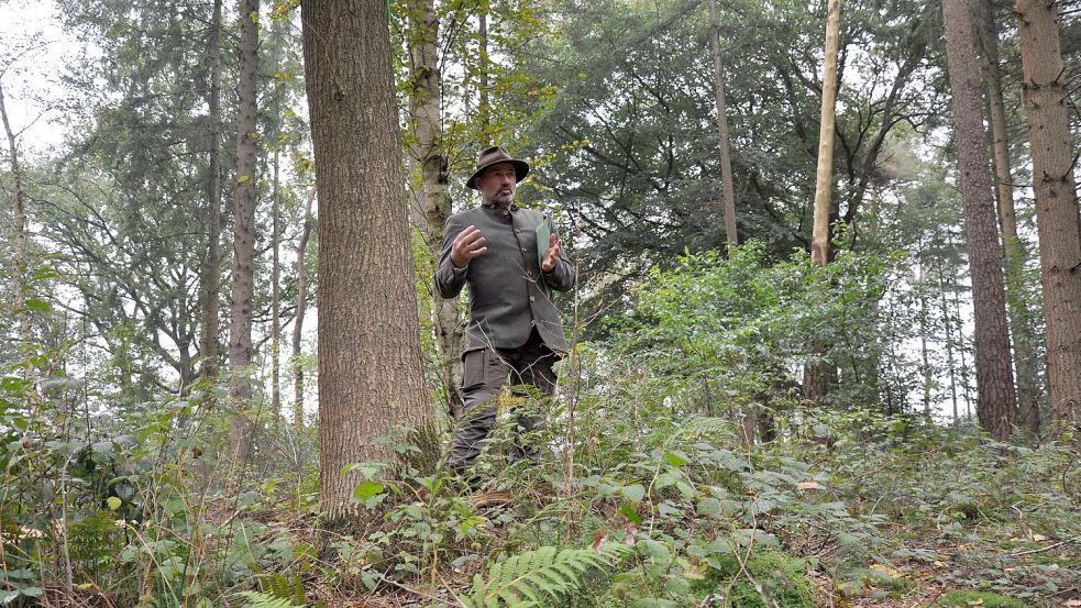 „Die Trauerarbeit wird durch das Naturerlebnis erleichtert“, sagt Gedächtniswaldförster Sigfried Bley. „Man kann hier spazieren gehen und seinen Gedanken freien Lauf lassen.“ Foto: Ullrich