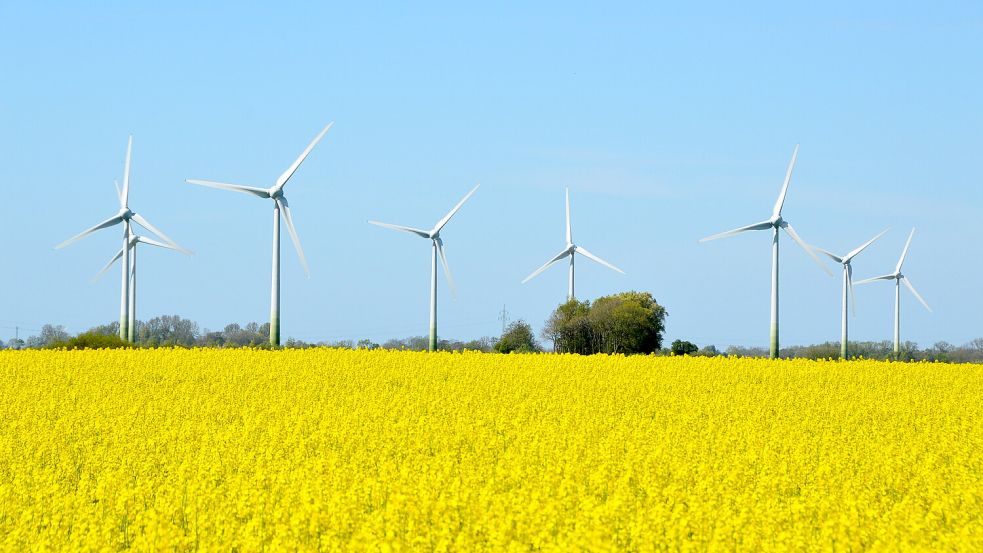 Der bislang einzige Brookmerlander Windpark steht in der Gemeinde Osteel. Dort drehen sich insgesamt bisher 16 Anlagen. Foto: Thomas Dirks