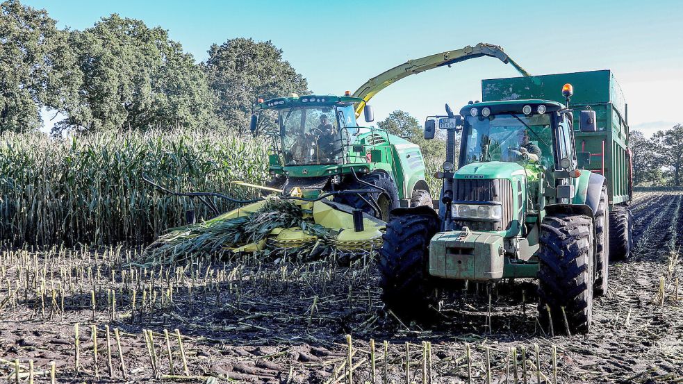 Landwirte in Spekendorf während der Ernte ihrer Maisfelder. Foto: Romuald Banik