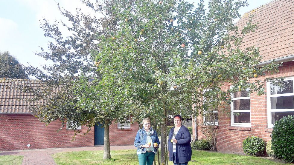 Der am 14. April 2013 gepflanzte Apfelbaum vor dem Bagbander Gemeindehaus hat sich toll entwickelt und trägt heute viele Früchte, Fenna Bohlen (links) und Therese Krüsmann vom Kirchenvorstand sind davon sehr angetan. Foto: Gerd-Arnold Ubben