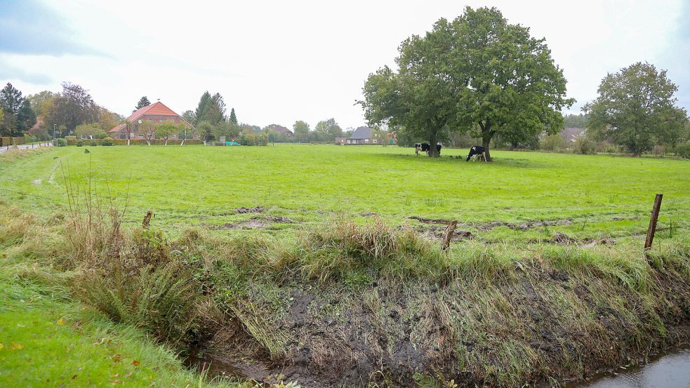 Auf dieser rund 5500 Quadratmeter großen Fläche am Boomweg soll gebaut. Foto: Romuald Banik