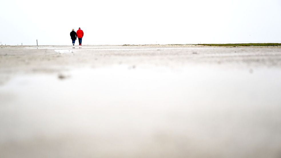 Das Wattenmeer zieht jährlich viele Besucher an die Nordseeküste. Foto: dpa