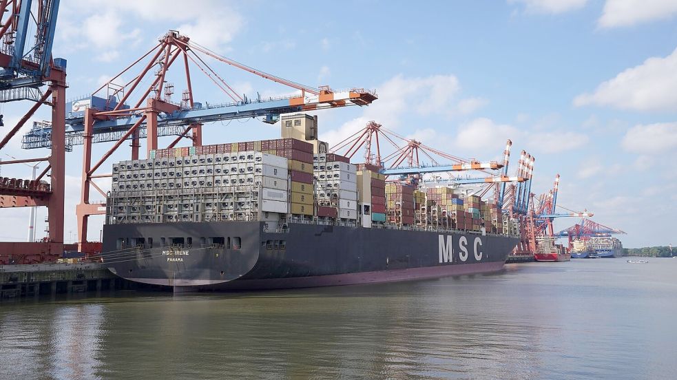 Die Stadt Hamburg und MSC hatten vereinbart, dass die HHLA künftig als Gemeinschaftsunternehmen geführt werden soll. Foto: Marcus Brandt/dpa