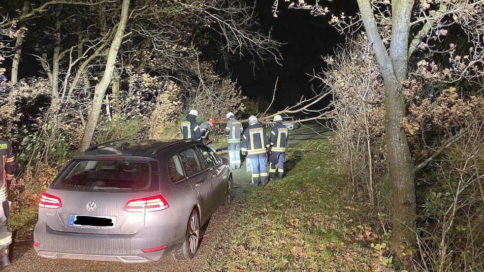 Die Feuerwehr Berumerfehn war am Freitagabend wegen eines Sturmschadens im Einsatz. Foto: Schweser/Kreisfeuerwehrverband Aurich