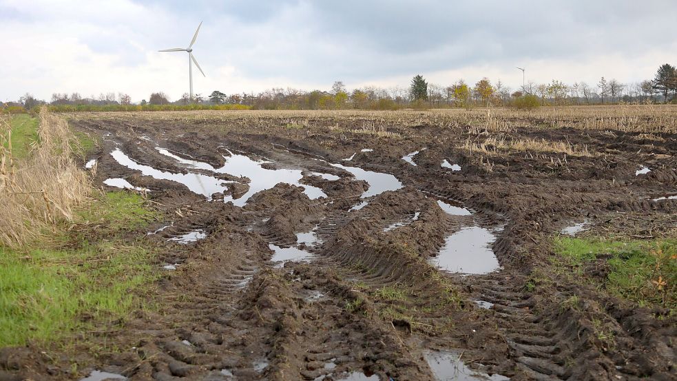 Blick auf einen nassen Acker in Brockzetel. Foto: Romuald Banik
