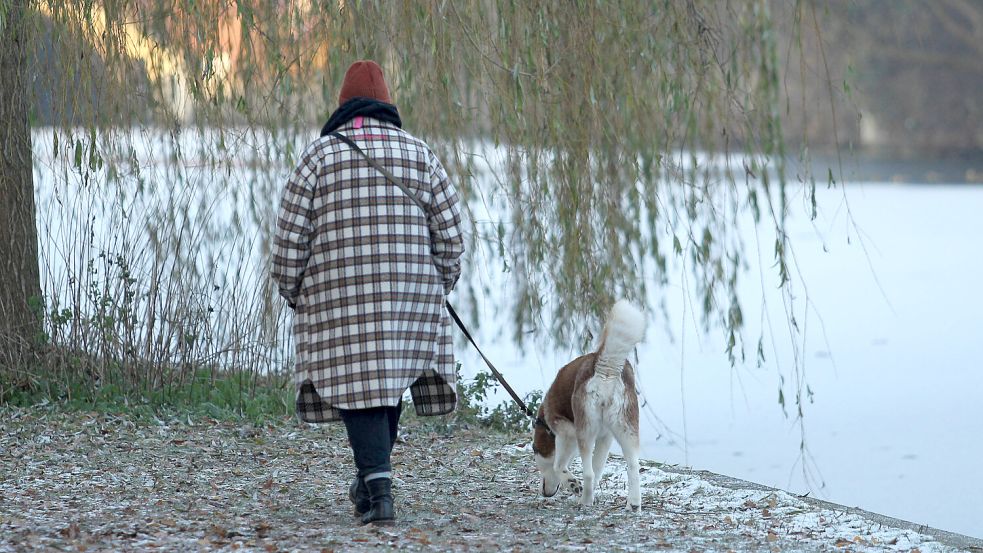 Beim Spaziergang sollte man sich in den nächsten Tagen warm anziehen. Foto: imago images/Hanno Bode