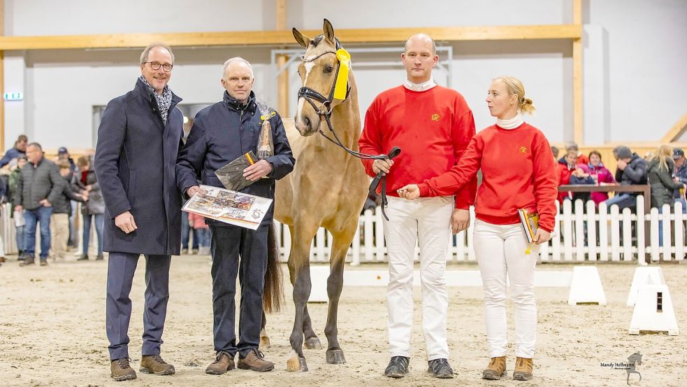 Ehrung für den Prämienhengst Diamonds Explosion aus Westerende-Holzloog: Stammbuch-Präsident Reinhard Kramer und Züchter Harm Auts auf der einen, die Besitzer vom Syndikat Zukunftssterne auf der anderen Seite des vielversprechenden Junghengstes. Dessen Halbbruder Cosmo Genial hat vor Kurzem auch die Hengstleistungsprüfung überzeugend gewonnen. Foto: privat