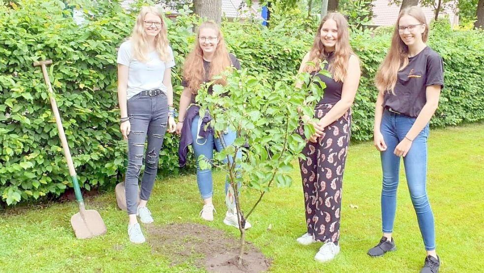 Hanna Kruse (von links), Janna Albers, Anneke Pollmann und Antjelina Janssen. Sie haben einen Baum gepflanzt, um etwas für die Umwelt beizutragen. Foto: privat