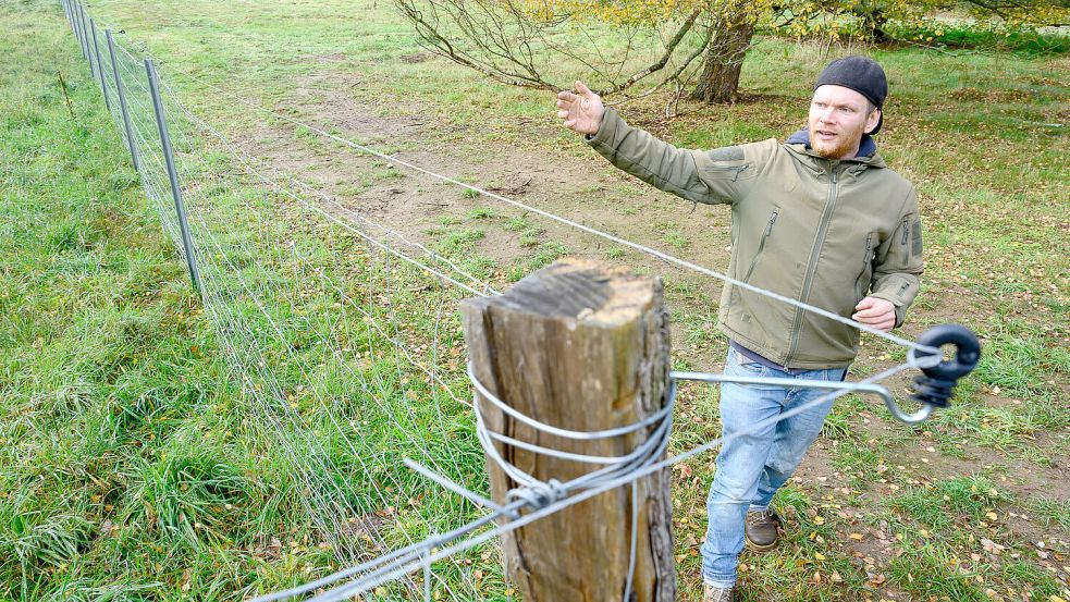 Die Wolfhundewanderungen von Thomas Frost aus Mestlin sind bei Groß und Klein beliebt. Außerdem erklärt der Wolfspädagoge Weidetierhaltern, wie ein guter Wolfschutz auszusehen hat. Das aber ärgert so manchen Tierhalter. Warum? Foto: Volker Bohlmann