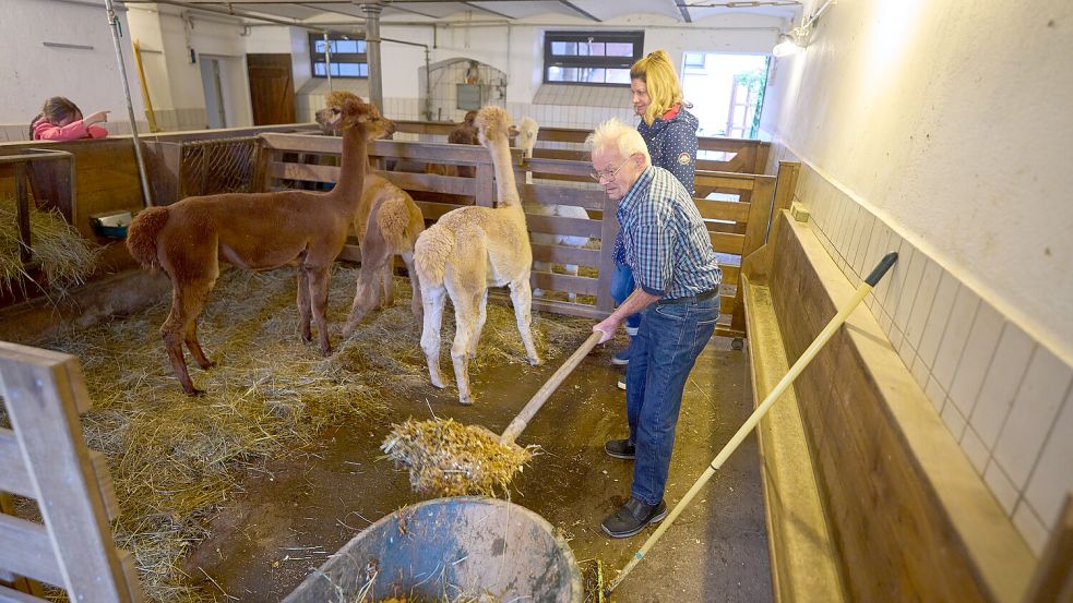 Auf einem Pflegebauernhof können Senioren bei den alltäglich Aufgaben mit anpacken. Foto: dpa/Thomas Frey