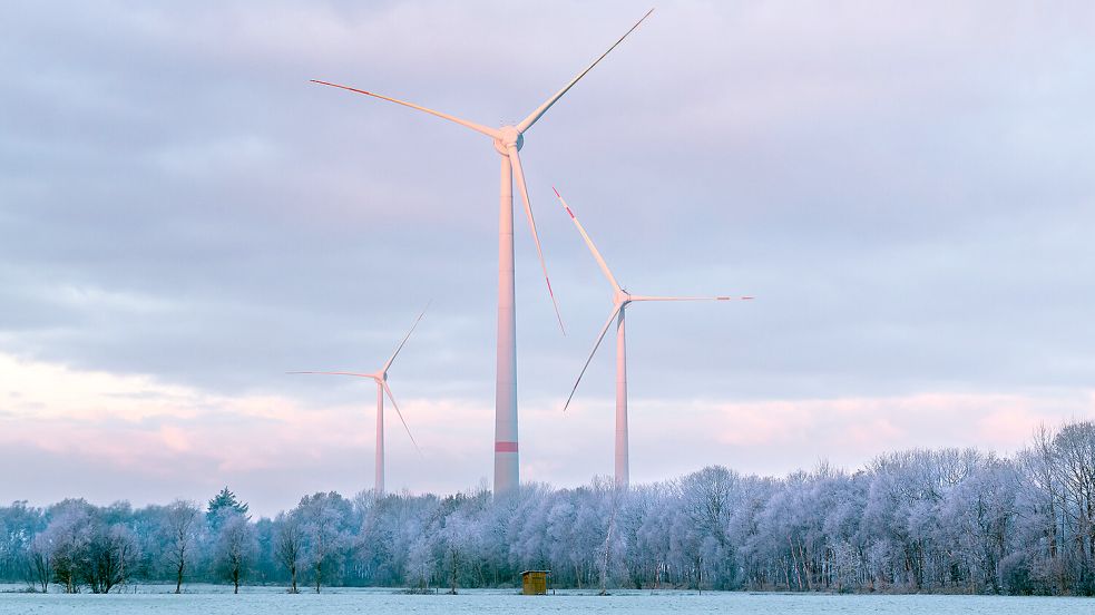 Die drei neuen Enercon-Windräder in winterlicher Kulisse im Dietrichsfelder Moor. Foto: Boris de Wolf/Alterric