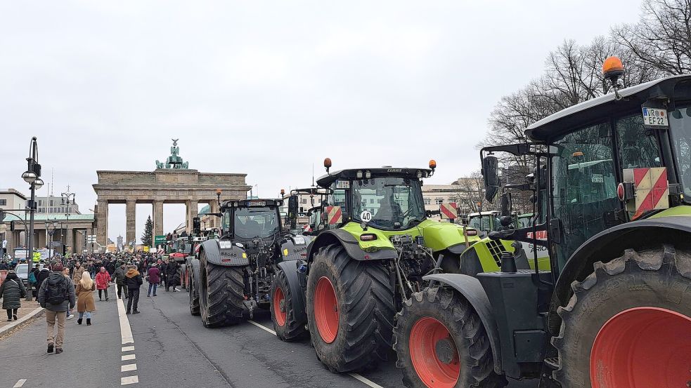 Vom Brandenburger Tor bis zur Siegessäule lief Maren Ziegler vom LHV am Montag die Treckerreihen ab. Foto: Maren Ziegler