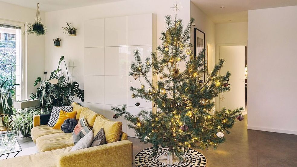 Mit ein paar einfachen Tipps bleibt Ihr Weihnachtsbaum möglichst lange grün und frisch. Foto: imago images/Mareen Fischinger