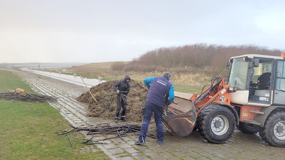 Mitarbeiter der Kurverwaltung waren am Freitagmorgen damit beschäftigt, die Überreste von Sturm „Zoltan“ zu beseitigen. Foto: Rebecca Kresse
