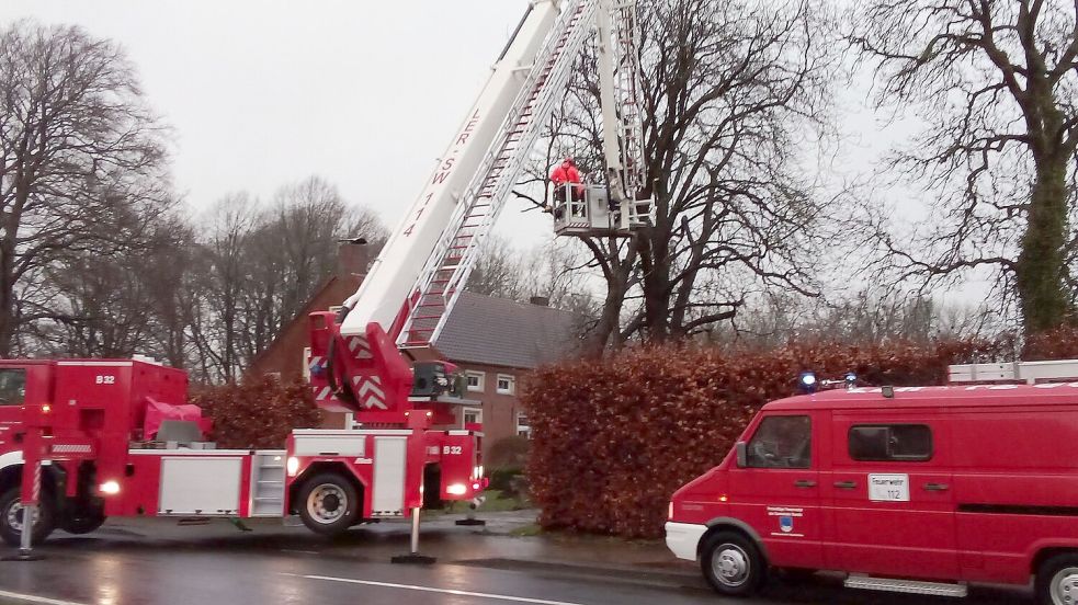 In Bunderhee war die Feuerwehr im Einsatz. Ein Baum drohte auf die Steinhausstraße zu stürzen. Foto: Feuerwehr