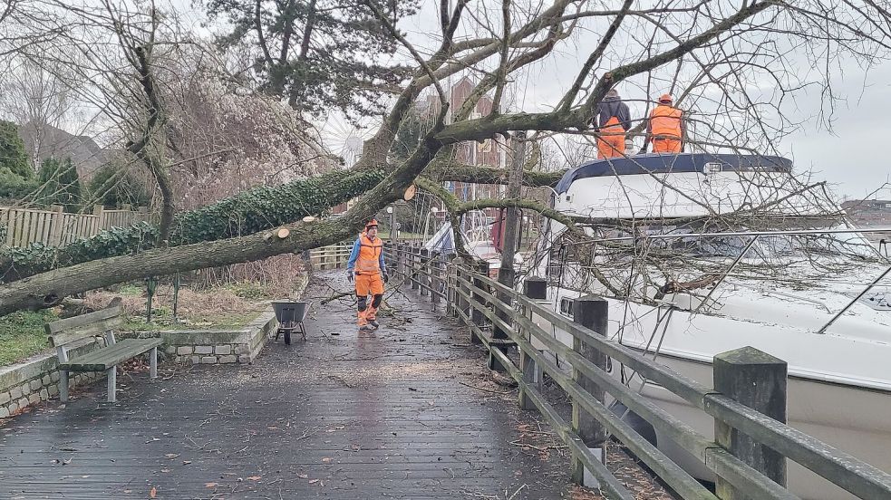 An der Uferpromenade in Leer kippe ein Baum um und landete auf einem Boot. Foto: Wolters