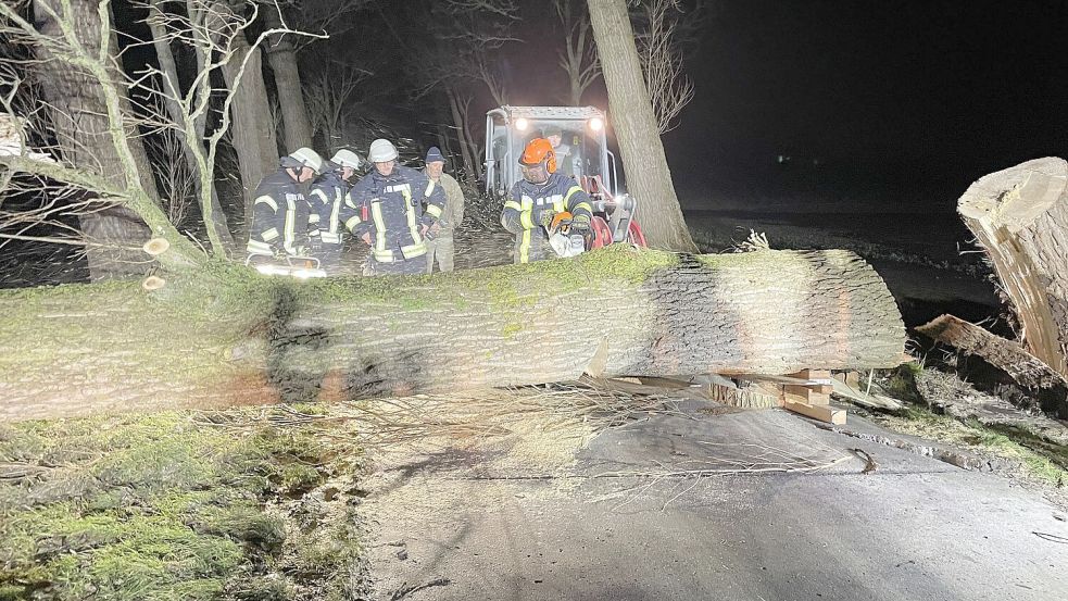 Ein umgestürzter Baum in Leybuchtpolder beschädigte eine Wasserleitung. Foto: Feuerwehr Norden