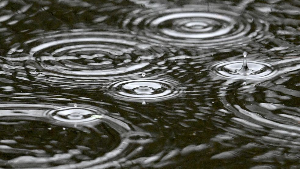 Regentropfen fallen ins Wasser: 2023 war für Ostfriesland ein sehr regenreiches Jahr – zum Vorteil für das Grundwasser. Foto: DPA