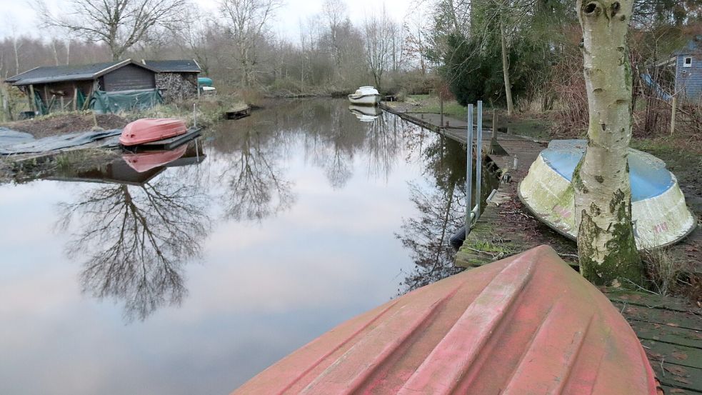 Die Wiegboldburer Riede fast kein Wasser mehr derzeit. Foto: Karin Böhmer