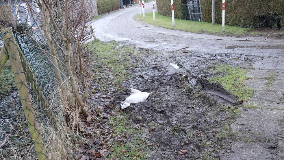Am Ende des Reiherweges liegt noch ein Sandsack. Das Wasser stand hier lange nicht so hoch wie 2022. Aber mehrere Grundstücke sind extrem nass. Foto: Karin Böhmer
