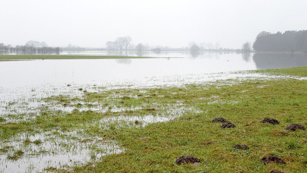 Wasser auf Wiesen und Äckern macht Landwirten zu schaffen. Foto: dpa/ Anne-Sophie Galli