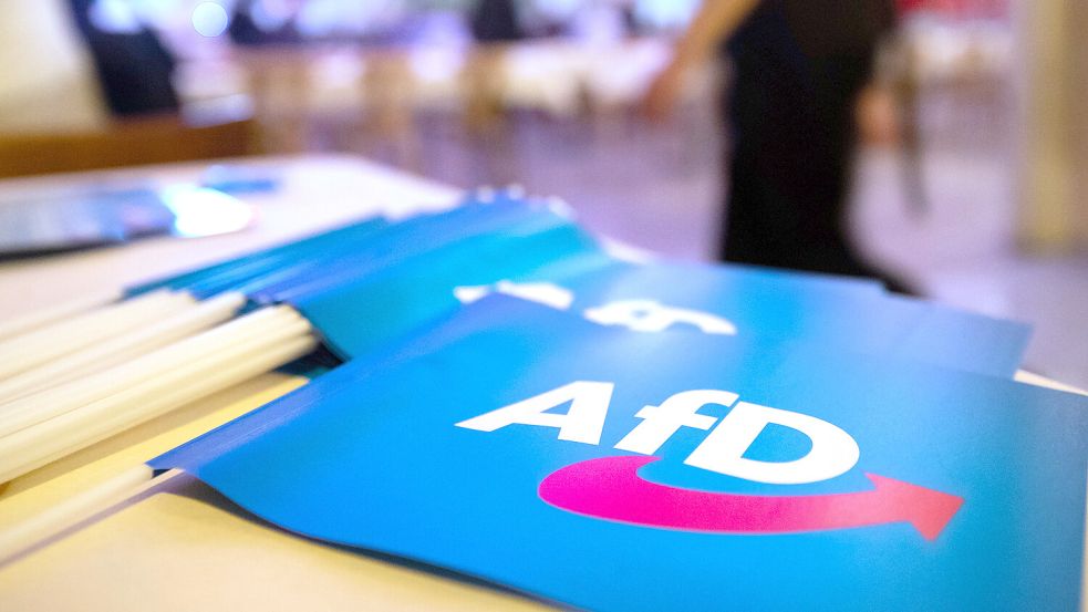 Während ein Teil der Politiker ein AfD-Verbot für sinnvoll erachtet, spricht sich ein anderer Teil klar dagegen aus. Foto: dpa/Daniel Karmann