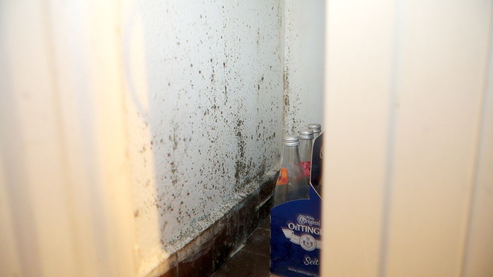 Schimmel in einer Ecke der Küche der Nachbarwohnung. Foto: Romuald Banik