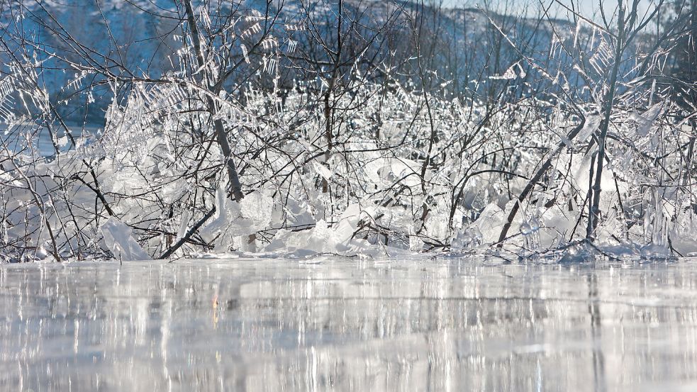 Der Dauerfrost der vergangenen Tage geht, die Temperaturen werden zum Wochenende etwas milder. Foto: dpa/Matthias Bein