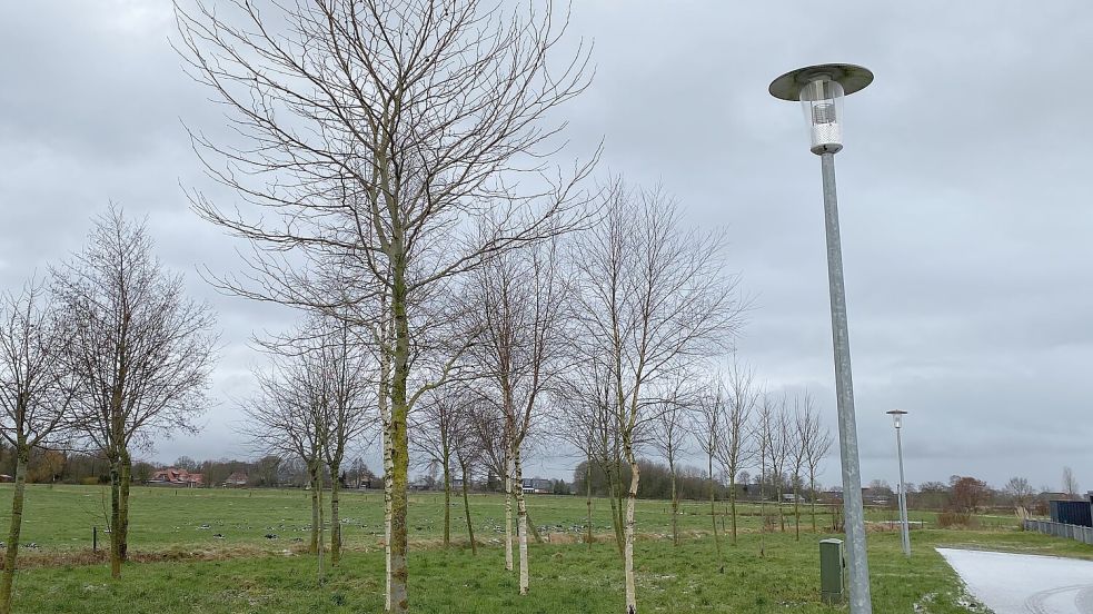Straßenlaternen mit modernem LED-Leuchtkopf in Ihlow. So wie hier sehen inzwischen 70 Prozent der Laternen in der Gemeinde Ihlow aus. Fotos: Christin Wetzel