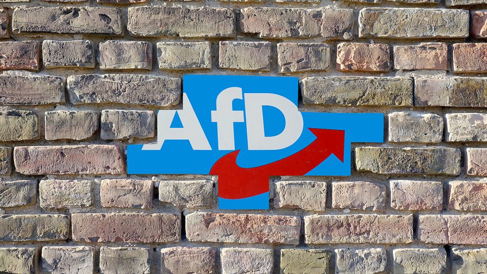 Die AfD kann mit einem erfolgreichen Wahljahr 2024 rechnen. Foto: IMAGO IMAGES/Sascha Steinach