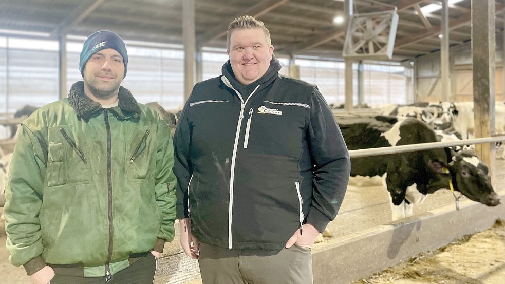 Kümmern sich momentan gemeinsam um die 80 geretteten Kühe: Landwirte Martin Niederhausen (links) und Janek Böschen. Foto: Karolina Meyer-Schilf