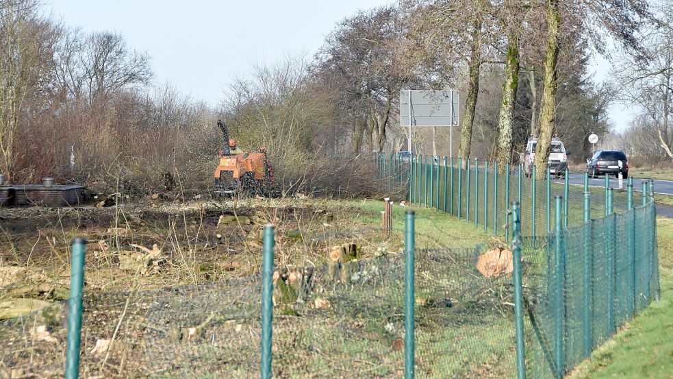 Auf dem Gelände des alten Siegelsumer Wasserwerks wurden Büsche und Bäume entfernt. Foto: Thomas Dirks