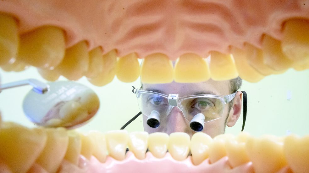 Ein Zahnarzt schaut in ein Gebiss. Foto: DPA