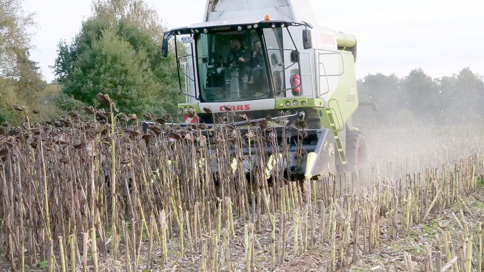 Mähdrescher und andere Arbeitsmaschinen sind bisher von der Kfz-Haftpflicht befreit, falls ihr Höchsttempo nicht mehr als 20 Stundenkilometer beträgt. Foto: Birgit Stamerjohanns