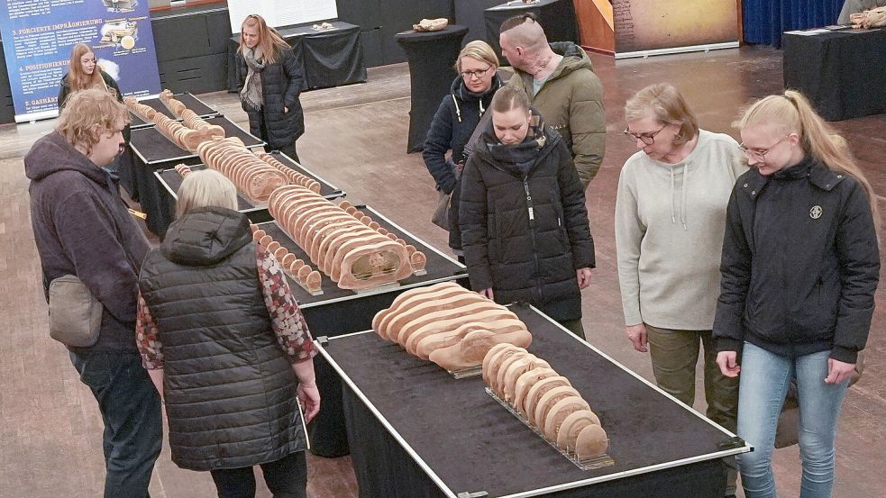 Ein menschlicher Körper in 150 Scheiben geschnitten. Foto: Helmut Vortanz