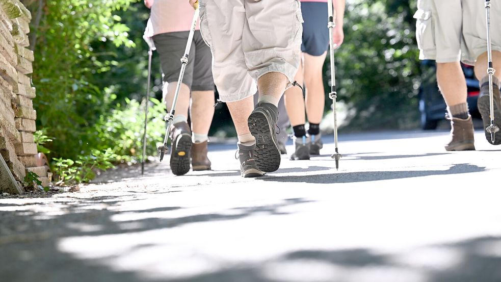 Die wackeren Wanderer dürfen zwischen Strecken zwischen fünf und 42 Kilometern wählen.Foto: DPA