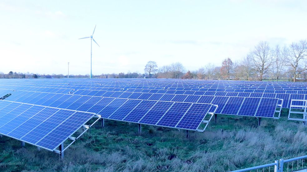 Im Anschluss an die bestehende, zwei Hektar große Anlage soll der neue Solarpark errichtet werden. Foto: Heino Hermanns
