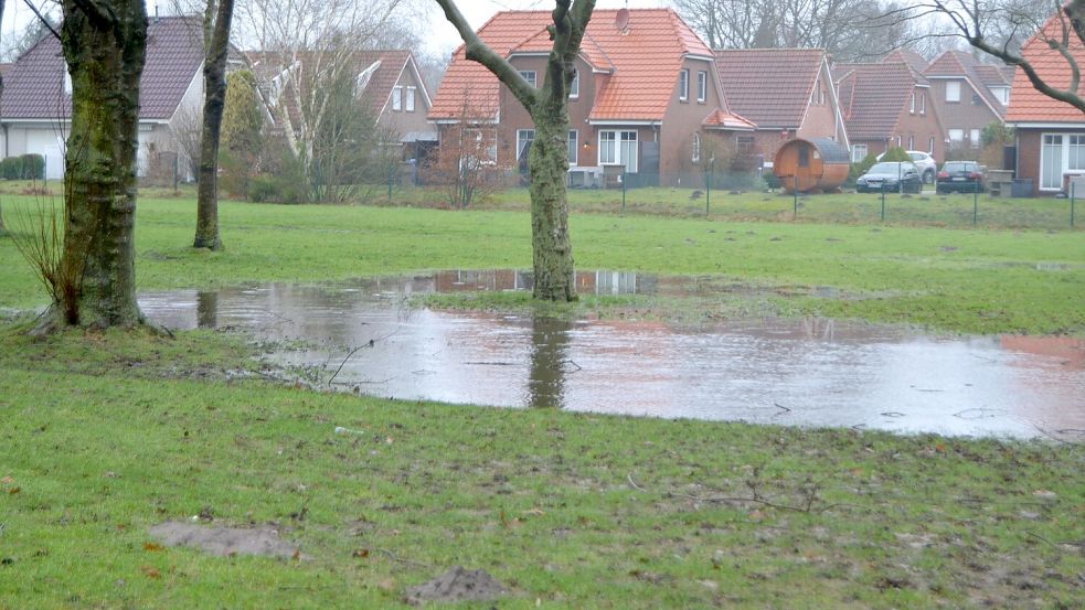 Überall steht das Wasser, weil die Böden zu nass sind, wie etwa hier auf der Wiese beim Badesee Tannenhausen in Aurich. Foto: Lasse Paulsen