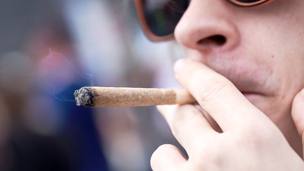 Das Gesetz zur Legalisierung von Cannabis soll in diesem Jahr noch kommen. Foto: dpa/Annette Riedl
