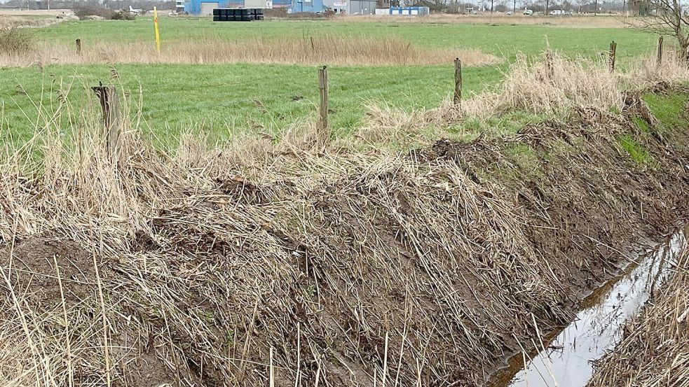 Die Polizei war in Emden im Einsatz und zog einen toten Mann aus einem Graben in der Nähe des Emder Flugplatzes. Foto: Patrick van Hove