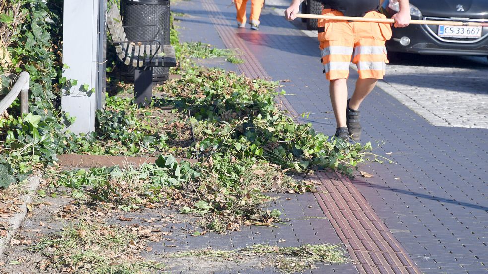 Asylbewerber erledigen in einigen norddeutschen Landkreisen Gründpflegearbeiten. Foto: IMAGO/Dean Pictures