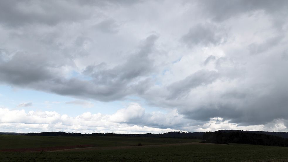 Angesichts des grauen Wetters sehnen sich viele Menschen im Norden nach Frühling. Foto: IMAGO/Silas Stein