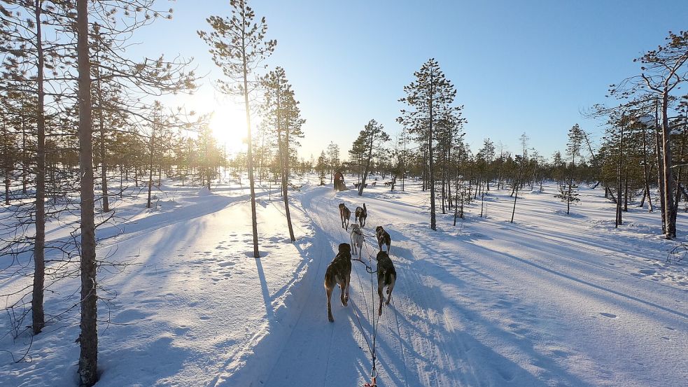 Bereits der Anblick von Finnlands verschneiter Landschaft sorgt für Glücksgefühle. Foto: IMAGO/Pond5 Images