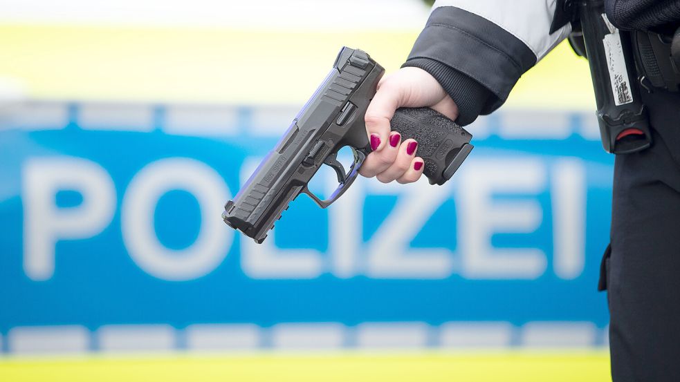 Mit der Dienstwaffe der Polizei wurde der Hund im Südbrookmerlander Ortsteil Theene erschossen. Foto: Friso Gentsch/DPA