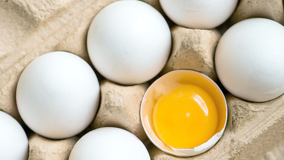 Die Deutsche Gesellschaft für Ernährung hat ihre Empfehlungen überarbeitet. Nun heißt es: Für einen gesunden Erwachsenen ist ein Ei pro Woche vollkommen ausreichend. Foto: Armin Weigel/dpa