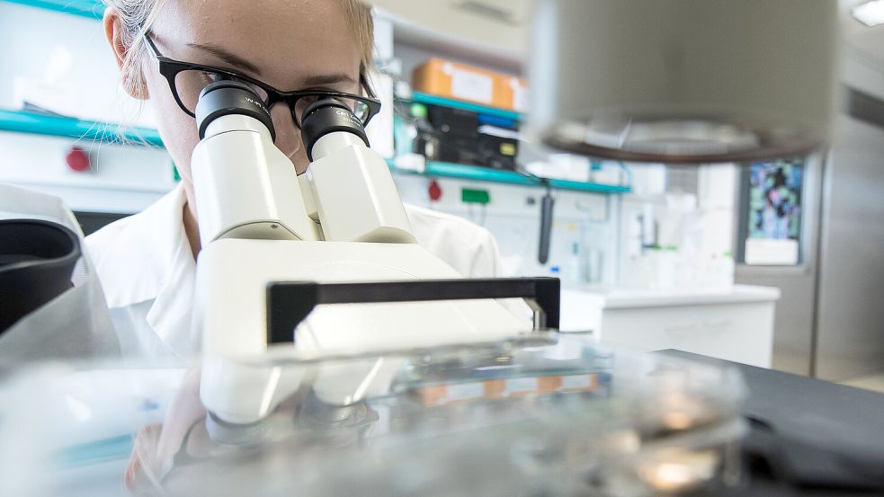 Viele junge Forscher in Deutschland hangeln sich von Kurzzeitvertrag zu Kurzzeitvertrag. Das will die Ampelkoalition nun ändern. Foto: dpa/ Andreas Arnold