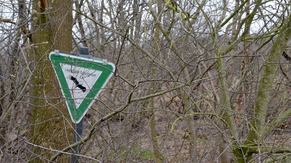 Schon seit Jahrzehnten ist die Fläche ein Landschaftsschutzgebiet. Fotos: Christin Wetzel