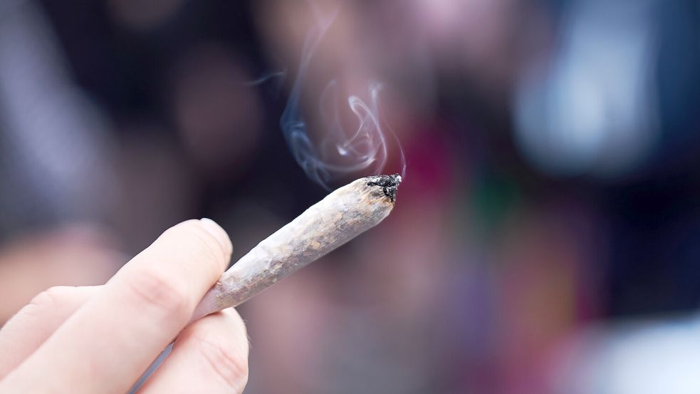 Ab Montag dürfen über 18-Jährige bis zu 50 Gramm Cannabis zum Eigenkonsum besitzen. Foto: dpa/Annette Riedl