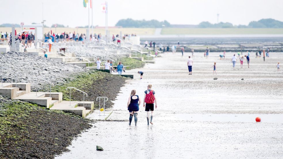 Mit den Füßen im Watt, die Seeluft in der Nase und das Meerwasser vor der Haustür - trotz dieser Ressourcen muss Norddeich um seinen Heilbad-Status bangen. Foto: DPA